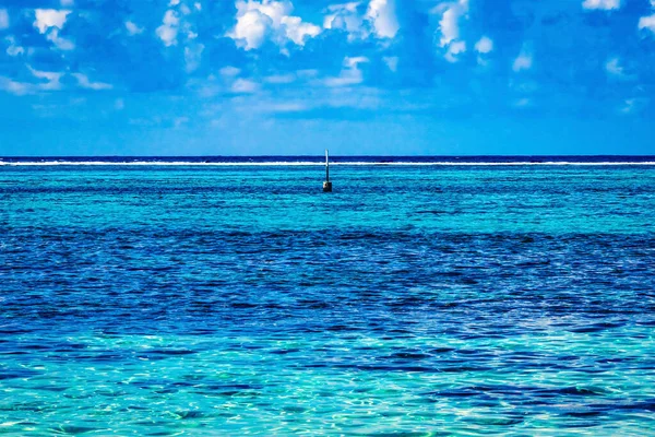 Colorido Azul Marcador Agua Arrecife Moorea Tahití Polinesia Francesa Diferentes —  Fotos de Stock