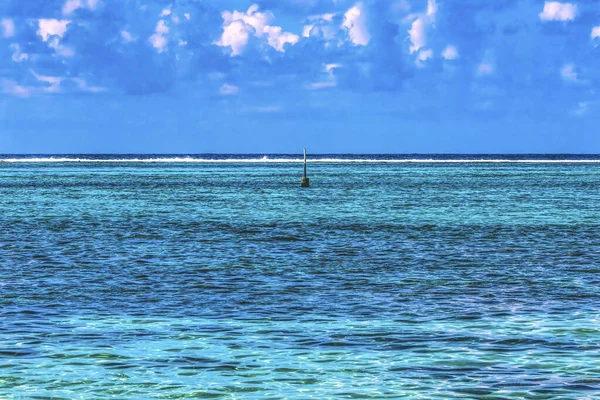 Renkli Mavi Şareti Resifi Moorea Tahiti Fransız Polinezyası Göl Mercan — Stok fotoğraf