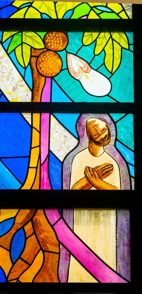 Colorido Polinésia Dúvida Saint Thomas Manchado Basílica Vidro Catedral Notre — Fotografia de Stock