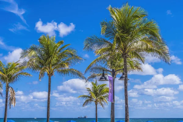 Palm Trees Blue Ocean Umbrellas Fort Lauderdale Beach Флорида — стоковое фото