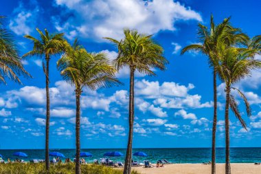 Plaj Mavisi Şemsiyeler Okyanus Kalesi Lauderdale Florida 