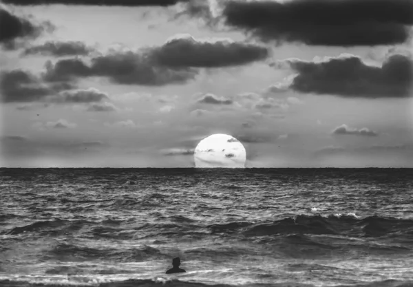 Black White Surfer Watching Sunset Jolla Shores Beach San Diego — Stock Photo, Image