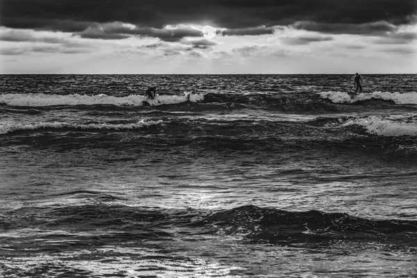 Black White Surfers Surfing Sunset Jolla Shores Beach San Diego — Stock Photo, Image