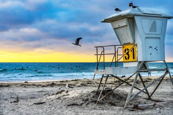 Strandwacht Surfers Zeevogels Zonsondergang Jolla Shores Beach San Diego California — Stockfoto