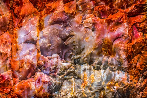 Red Orange Yellow Petrified Wood Abstract Blue Mesa Petrified Forest — Foto de Stock
