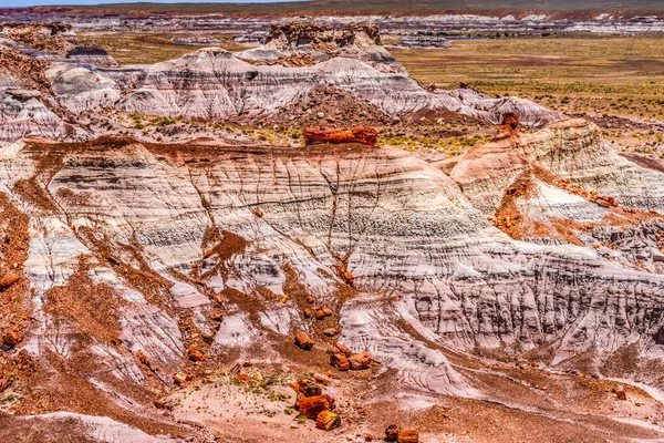 Rood Oranje Geel Versteend Hout Logs Hills Blauw Mesa Versteend — Stockfoto