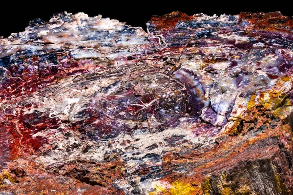 Czerwony Pomarańczowy Żółty Petrified Wood Log Streszczenie Crystal Forest Petrified — Zdjęcie stockowe