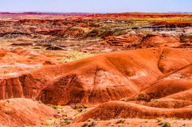 Turuncu Kırmızı Tepeler Yeşil Bitkiler Tiponi Noktası Boyalı Çöl Taşlaşmış Orman Ulusal Parkı Arizona 