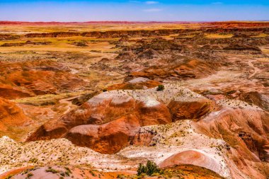 Turuncu Kırmızı Tepeler Yeşil Bitkiler Tawa Noktası Boyalı Çöl Taşlaşmış Orman Ulusal Parkı Arizona 