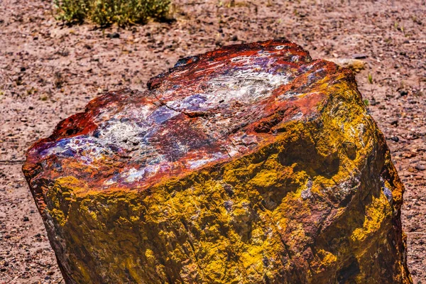 Red Orange Yellow Petrified Wood Log Abstrato Floresta Cristal Parque — Fotografia de Stock