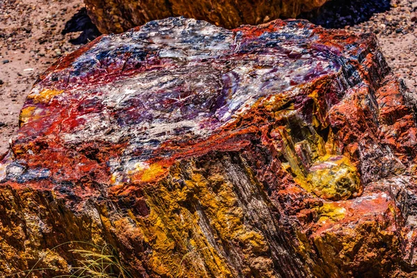 Röd Orange Gul Förstenad Trä Log Abstrakt Crystal Forest Förstenad — Stockfoto