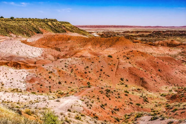 Kırmızı Beyaz Tepeler Yeşil Tesisler Tawa Noktası Boyalı Çöl Taşlaşmış — Stok fotoğraf