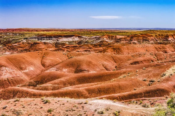 Orange Red Hills Green Plants Tiponi Point Painted Desert Petrified — Stok Foto