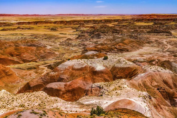 Orange Red Hills Green Plants Tawa Point Painted Desert Petrified — Fotografie, imagine de stoc