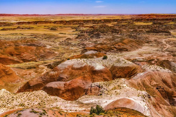 オレンジ レッドヒルズ グリーン プラント Tawa Point Painted Desert Petrified Forest — ストック写真