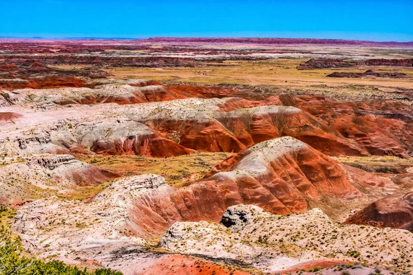 Oranje Rood Witte Heuvels Groene Planten Tawa Point Geschilderde Woestijn — Stockfoto