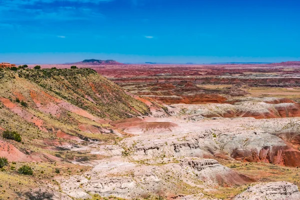 オレンジ レッド ホワイト ヒルズ グリーン プラント Tawa Point Painted Desert — ストック写真