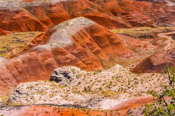 オレンジ レッド ホワイト ヒルズ グリーン プラント Tawa Point Painted Desert — ストック写真