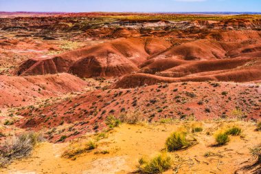 Turuncu Kırmızı Tepeler Yeşil Bitkiler Tiponi Noktası Boyalı Çöl Taşlaşmış Orman Ulusal Parkı Arizona 