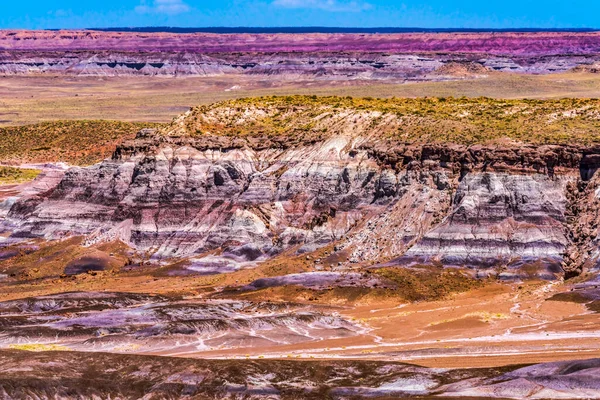 Cliffs Valley Blue Mesa Painted Desert Petrified Forest National Park —  Fotos de Stock