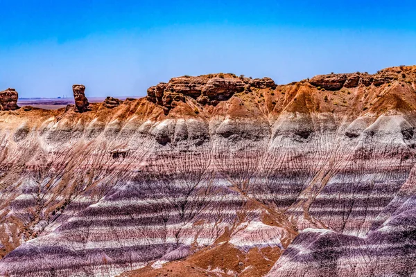 崖の谷ペトリファイドウッドログブルーメサ塗装砂漠ペトリファイドフォレスト国立公園アリゾナ州 — ストック写真