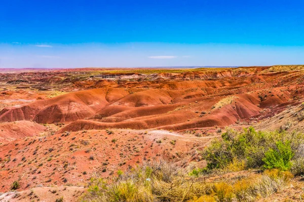 Orange Red Hills Green Plants Tiponi Point Painted Desert Petrified — Stok Foto