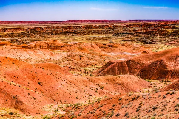 Laranja Red Hills Plantas Verdes Ponto Tiponi Pintado Deserto Floresta — Fotografia de Stock