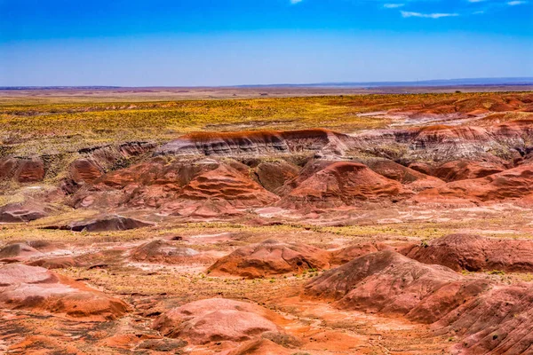 Oranje Rode Heuvels Groene Planten Tawa Point Geschilderde Woestijn Versteend — Stockfoto