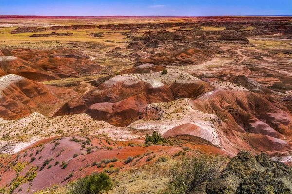 Orange Red Hills Green Plants Tawa Point Painted Desert Petrified — Fotografie, imagine de stoc