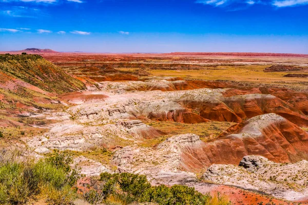 オレンジ レッド ホワイト ヒルズ グリーン プラント Tawa Point Painted Desert — ストック写真