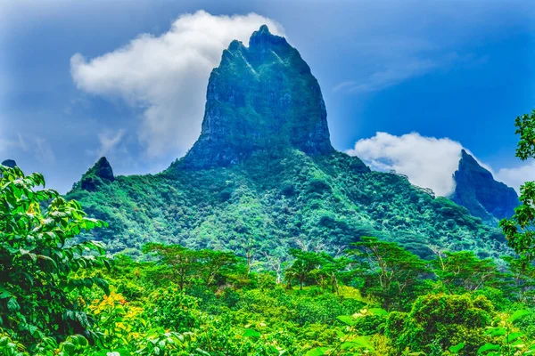 Colorful Mount Tohivea Tohiea Highest Mountain Volanic Peak Moorea Tahiti — стокове фото