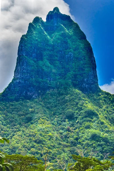 Barevná Hora Tohivea Tohiea Nejvyšší Hora Volanic Peak Moorea Tahiti — Stock fotografie