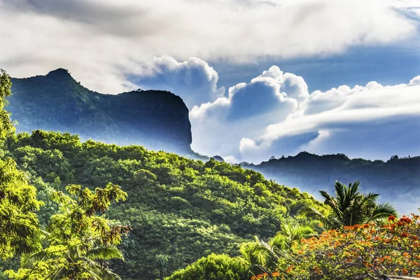 Árbol Llama Colorido Montaña Moorea Tahití Polinesia Francesa — Foto de Stock