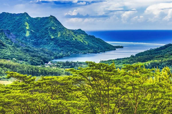 Colorida Bahía Opunohu Océano Pacífico Azul Moorea Tahití Polinesia Francesa —  Fotos de Stock