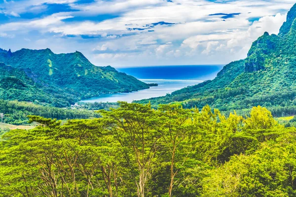 태평양 모레아 타히티 프랑스령 폴리네시아의 로운오푸 Belvedere Lookout — 스톡 사진