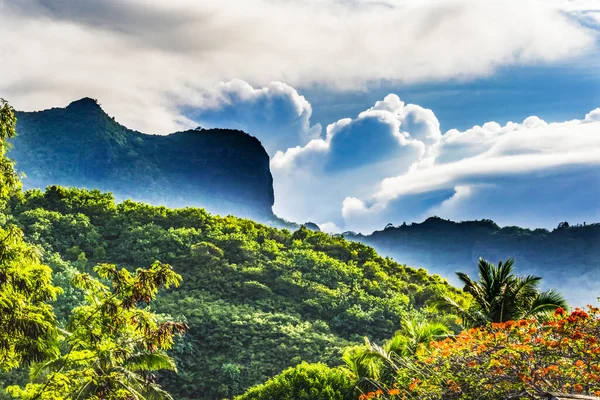 Πολύχρωμο Φλόγα Όρος Moorea Ταϊτή Γαλλική Πολυνησία Εικόνα Αρχείου