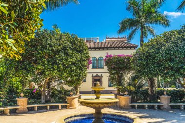 Küçük Park Pınarı Çiçekleri Palm Tree Belediye Binası Palm Beach Florida 