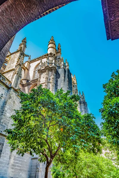 Orange Tree Garden Seville Cathedral Cathedral Saint Mary See Seville — стоковое фото