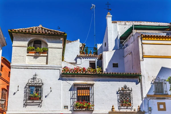 Färgglada Vita Byggnaden Windows Växter Santa Cruz Garden District Sevilla — Stockfoto