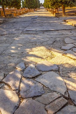 Antik Roma Taşı-Paved InRoad Street harabeleri Seville Endülüs İspanya 'nın hemen dışındaki Roma şehri. MÖ 206da inşa edilmiş, İspanya 'da ve İtalya dışında ilk Roma yerleşimi. Roma yolları imparatorluğun anahtarı..