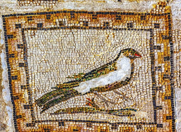 カラフルな古代の鳥モザイク遺跡イタリアセビリアの外ローマ市アンダルシアスペイン 紀元前206Bc年に建てられましたスペインとイタリアの外で最初のローマ人の集落 — ストック写真