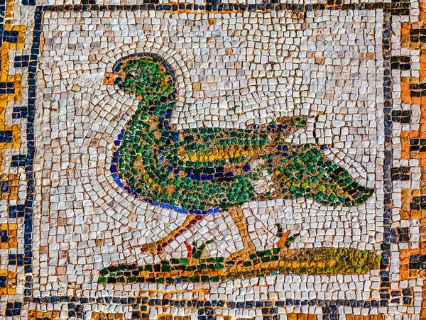 Colorful Ancient Green Duck Bird Mosaic Ruins Italica Roman City — Stock Photo, Image