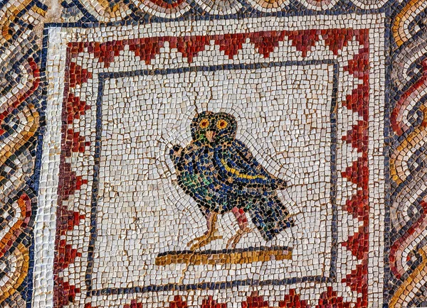 Colorful Ancient Owl Bird Mosaic Ruins Italica Roman City Seville — Stock Photo, Image