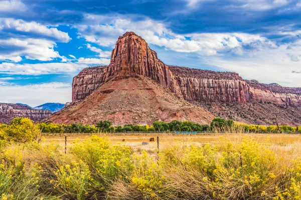 Renkli Kızıl Uçurum Dağları Kanyonlar Ulusal Park Needles Bölgesi Utah — Stok fotoğraf