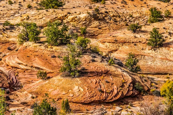 Dairesel Kaya Örnekleri Utah Needles Lçesi Kanyonlarına Bakış Alanı Yakınında — Stok fotoğraf
