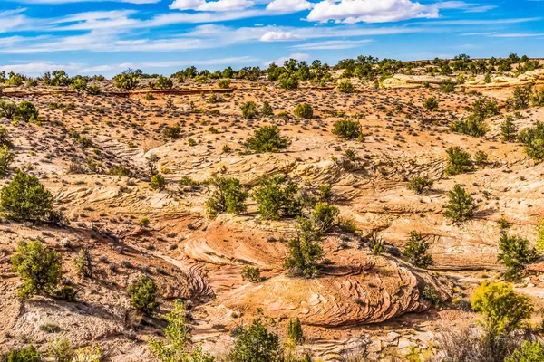 Circulaire Rotspatronen Maak Abstracts Buurt Van Schoenenboog Overzien Canyonlands National — Stockfoto