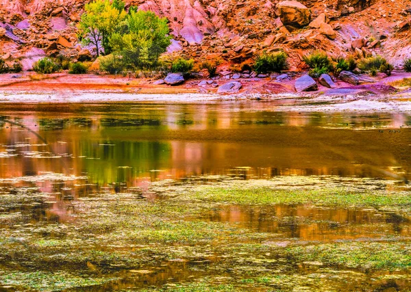 Renkli Hint Deresi Yansıması Kırmızı Uçurum Kanyonları Ulusal Park Needles — Stok fotoğraf