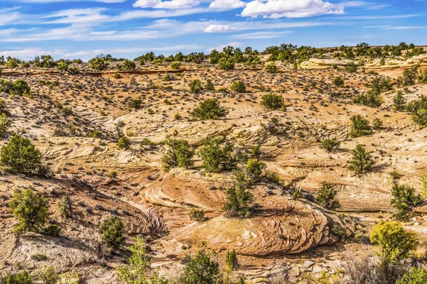 Circulaire Rotspatronen Maak Abstracts Buurt Van Schoenenboog Overzien Canyonlands National — Stockfoto