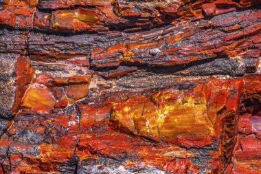 Red Orange Yellow Petrified Wood Log Abstract Crystal Forest Petrified Forest National Park Arizona  clipart