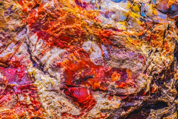 Red Orange Yellow Petrified Wood Log Abstrato Floresta Cristal Parque — Fotografia de Stock